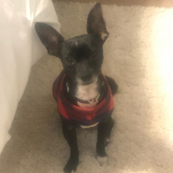 Meet your Posher, Megan - Picture 1 of 1